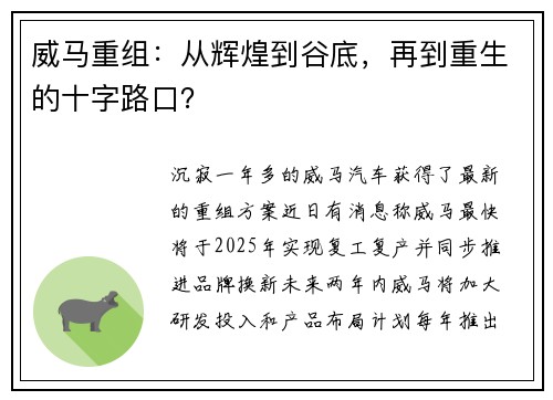 威马重组：从辉煌到谷底，再到重生的十字路口？