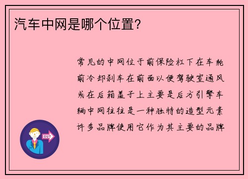 汽车中网是哪个位置？