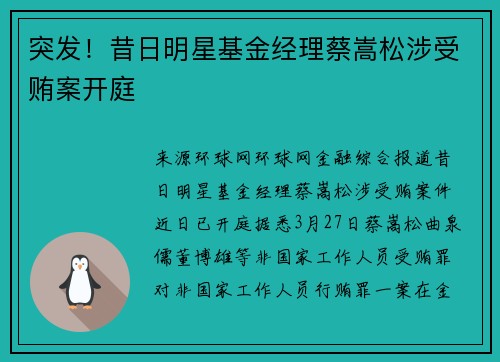 突发！昔日明星基金经理蔡嵩松涉受贿案开庭