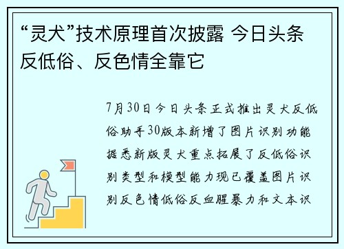 “灵犬”技术原理首次披露 今日头条反低俗、反色情全靠它